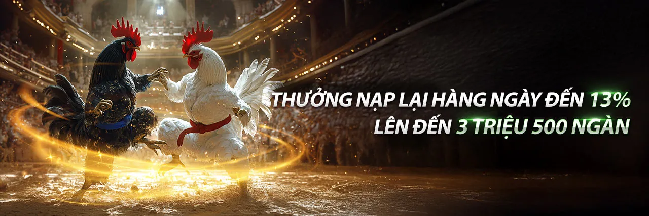 Bảo mật và cá cược có trách nhiệm tt3979ae